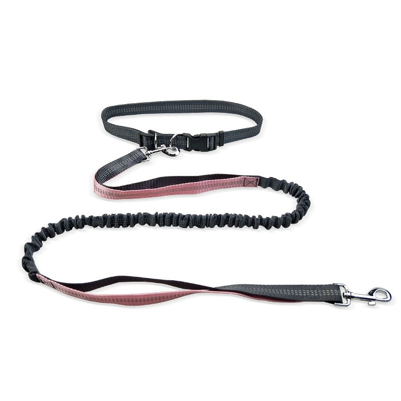 Dog Walking Belt with Detachable Shockproof Leash -