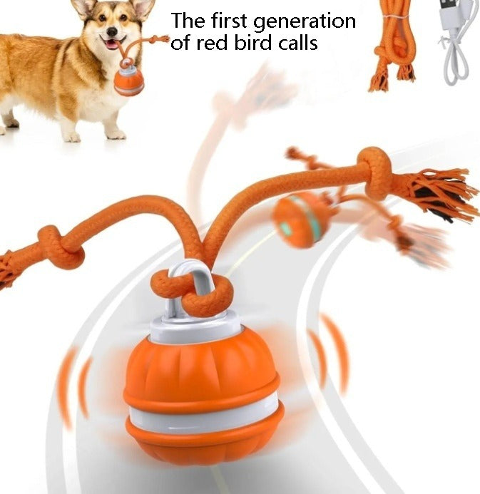 Interactive Pet Rolling Ball Toy USB Rechargeable - Image26755085467742