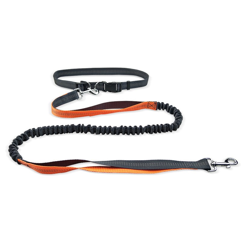 Dog Walking Belt with Detachable Shockproof Leash - 