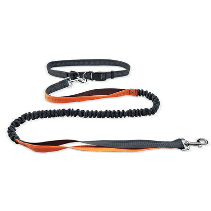 Dog Walking Belt with Detachable Shockproof Leash - Image26755087368286