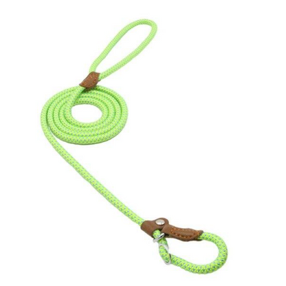 Nylon Pup Set - Image26755340271710