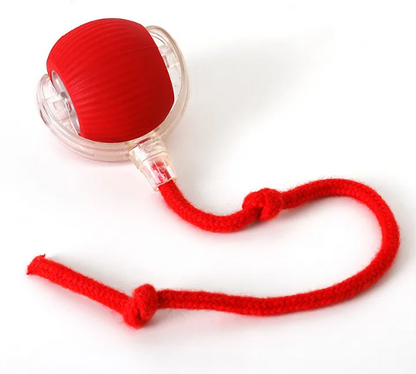 PurrPlay Self-Rolling Cat Toy Ball - Image26755194093662