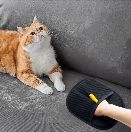 Fur Remover Glove (Private Listing U1175793) - 