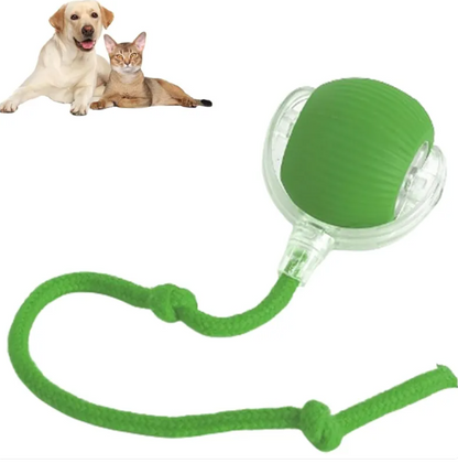 Smart Rolling Pet Ball - Image26755308060766