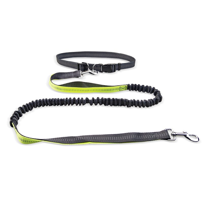 Dog Walking Belt with Detachable Shockproof Leash - 