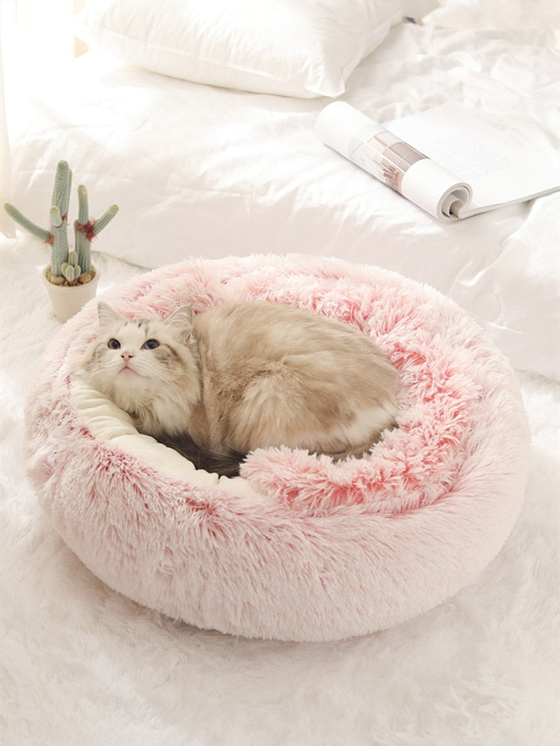 2-in1 Pet Bed - 