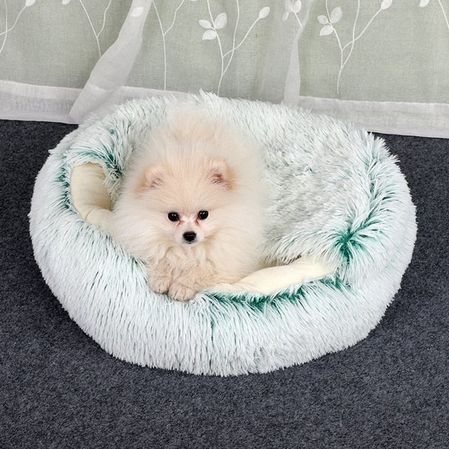 2-in1 Pet Bed - 