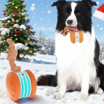 Interactive Pet Rolling Ball Toy USB Rechargeable - Image26755085697118