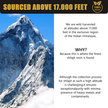 30g Natural Pure Shilajit Resin - Image26755085041758
