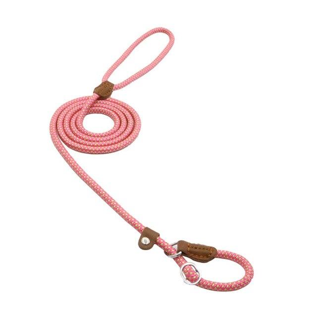 Nylon Pup Set - Image26755340795998
