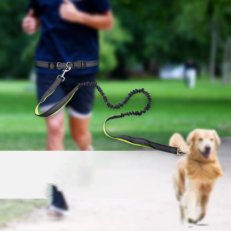 Dog Walking Belt with Detachable Shockproof Leash - Image26755087302750