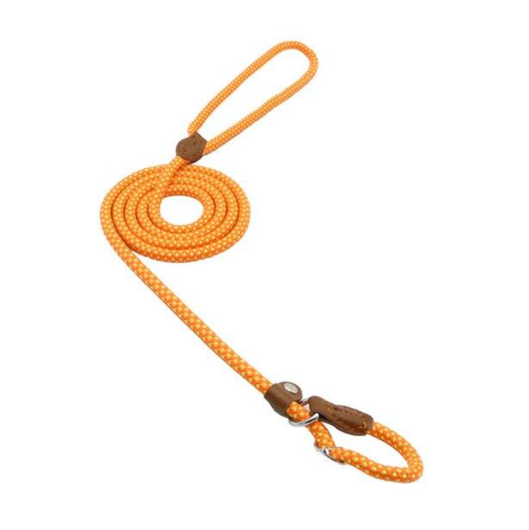 Nylon Pup Set - 