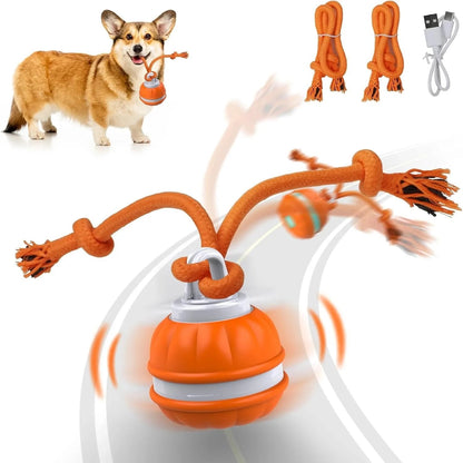 Interactive Pet Rolling Ball Toy USB Rechargeable - Image26755085434974