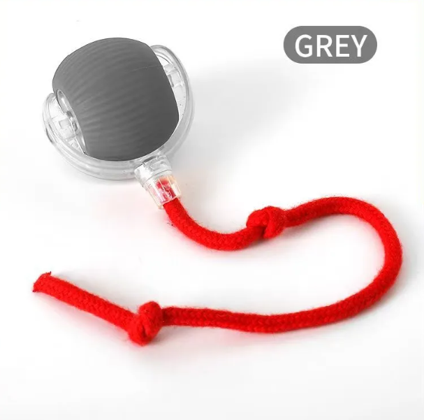 PurrPlay Self-Rolling Cat Toy Ball - 