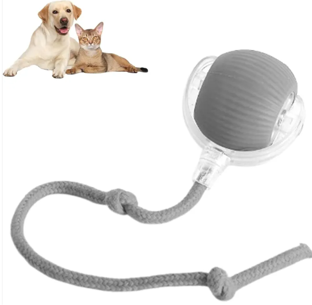 Smart Rolling Pet Ball - 