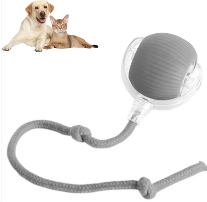 Smart Rolling Pet Ball - Image26755308093534