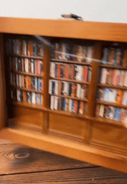 Anxiety Bookshelf | Shake Away Your Anxiety - Image26755174203486