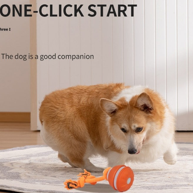 Interactive Pet Rolling Ball Toy USB Rechargeable - 