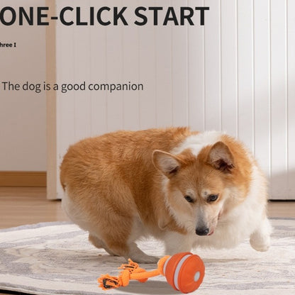 Interactive Pet Rolling Ball Toy USB Rechargeable - Image26755085238366