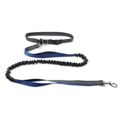 Dog Walking Belt with Detachable Shockproof Leash - Image26755087433822
